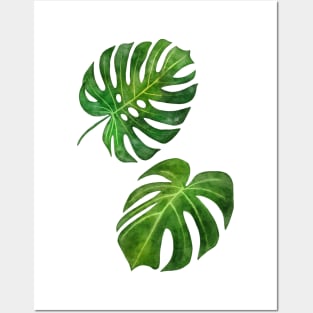 Monstera deliciosa tropical vibes watercolor painting handpainted illustration Posters and Art